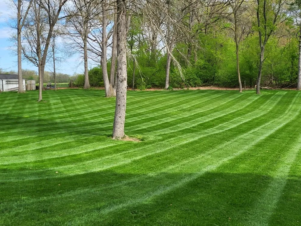 Reliable lawn care service in Ypsilanti, MI by A Cut Above Lawn Care