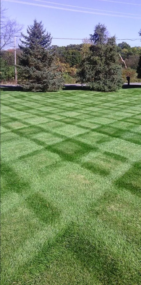 Local outdoor landscaping experts serving Ypsilanti, MI - A Cut Above Lawn Care