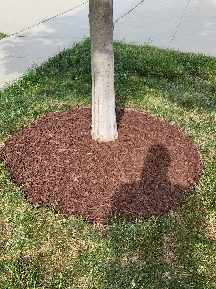 Trusted landscape design for residential properties across Ypsilanti, MI - A Cut Above Lawn Care