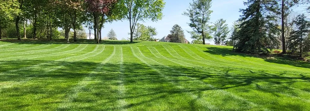 Top-rated lawn mowing service in Ypsilanti, MI by A Cut Above Lawn Care
