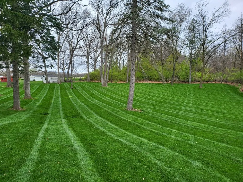 Affordable yard cleanup service for beautiful yards in Ypsilanti, MI by A Cut Above Lawn Care