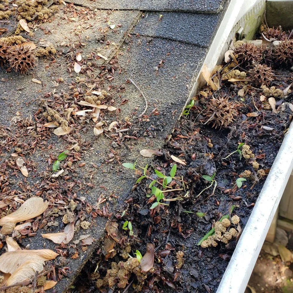 Local garden landscaping in Fordland, MO by A Cut Above Lawn Service