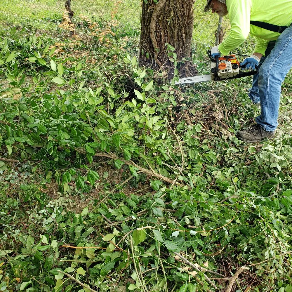 Affordable landscape installation for beautiful yards across Fordland, MO - A Cut Above Lawn Service