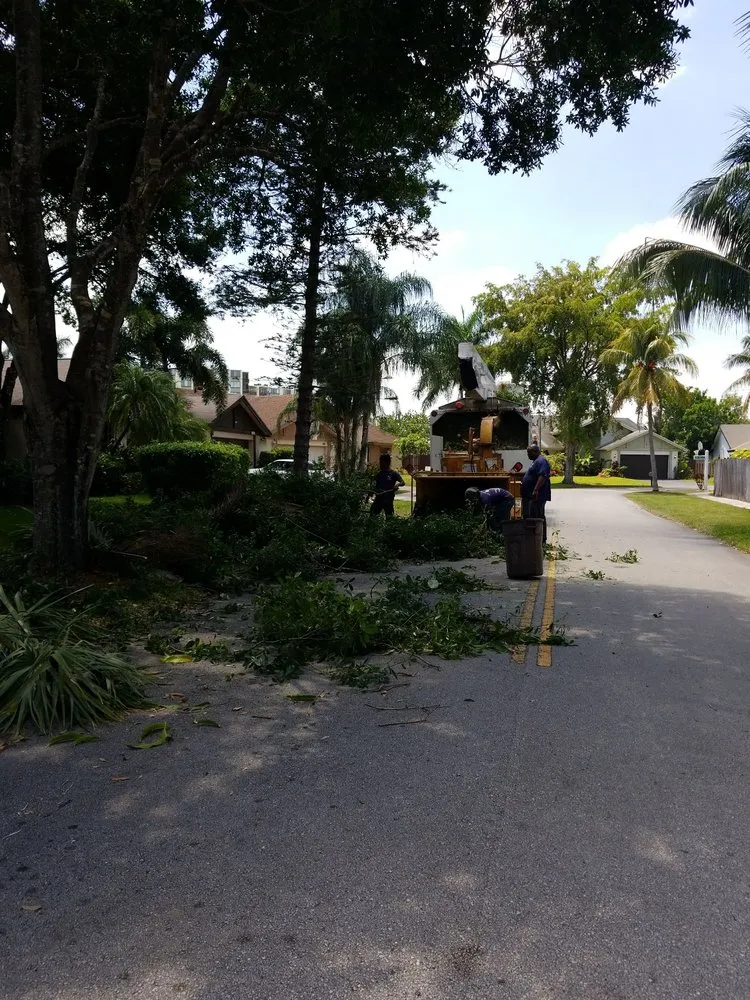 Affordable garden landscaping experts serving Fort Lauderdale, FL - A Cut Above Lawn Service