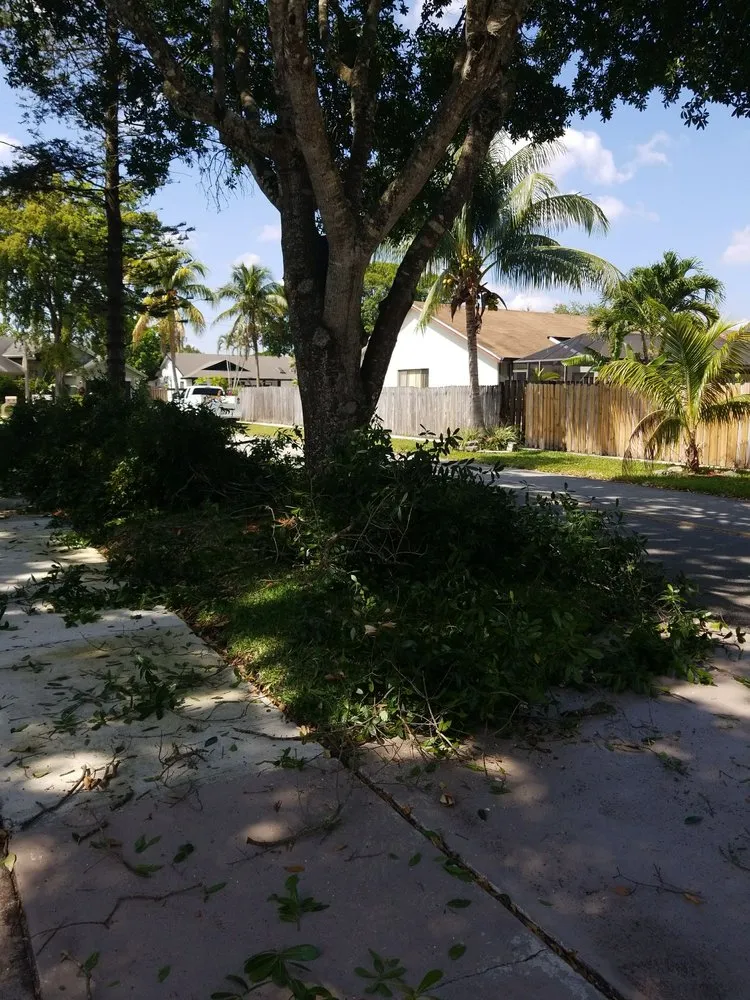 Professional landscaping services for outdoor upgrades across Fort Lauderdale, FL - A Cut Above Lawn Service