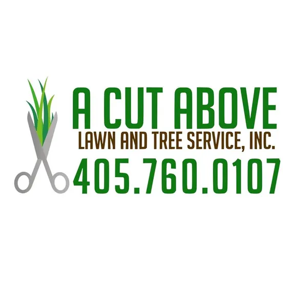 Custom landscaping services near you across Fort Lauderdale, FL - A Cut Above Lawn Service