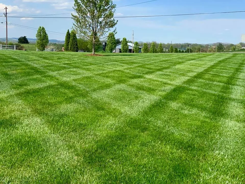 Local yard cleanup service experts serving Blountville, TN - A Cut Above Lawncare