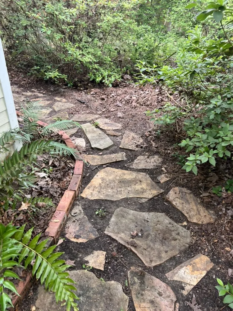 Local yard cleanup service in Loranger, LA by A Cut Above, Louisiana Lawn & Landscape