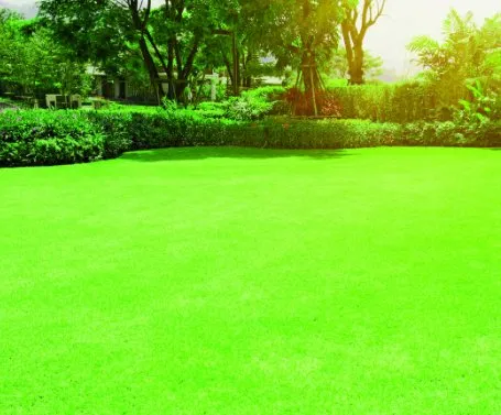 Affordable garden landscaping with custom design across Loranger, LA - A Cut Above, Louisiana Lawn & Landscape