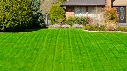 A Cut Above, Louisiana Lawn & Landscape Logo