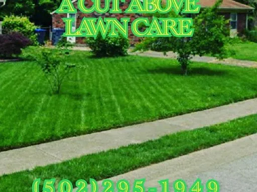 Top-rated landscaping services in Louisville, KY - A Cut Above
