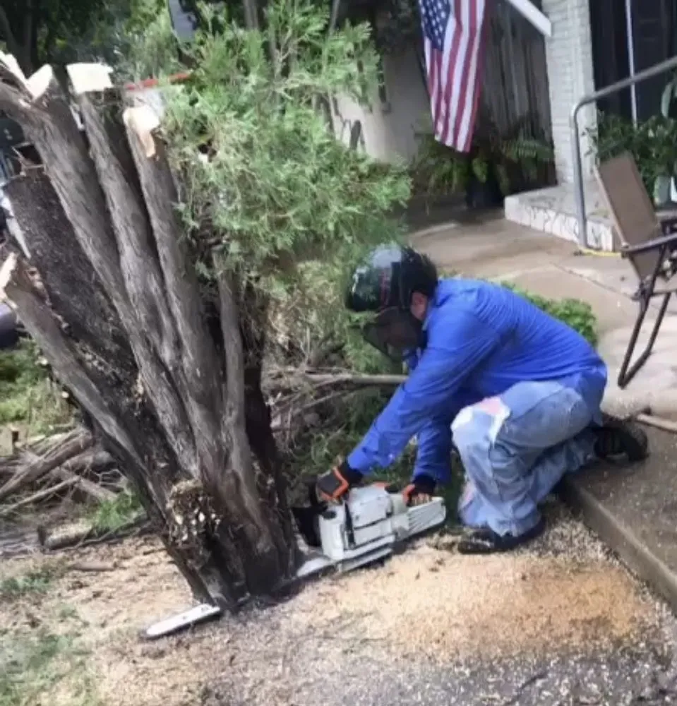 Professional outdoor landscaping for beautiful yards across McAllen, TX - A Cut Above