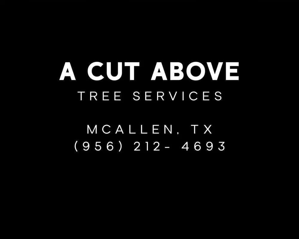 Top-rated lawn care service in McAllen, TX by A Cut Above
