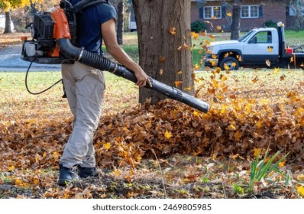 Top-rated garden landscaping for year-round maintenance in Ellicott City, MD by A Cut Above Mulching & Tree Removal