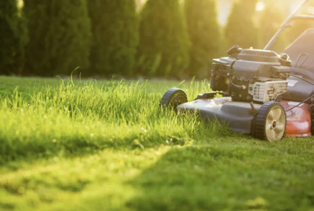 Affordable residential landscaping in Oklahoma City, OK - A Cut Above