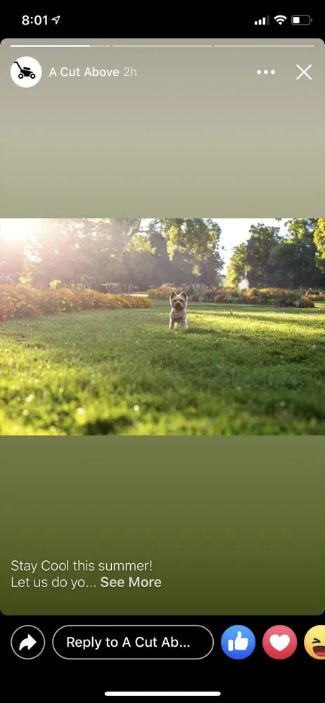 Reliable garden landscaping for homes across Oklahoma City, OK - A Cut Above