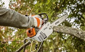 Expert yard cleanup service in Stafford, VA by A Cut Above Property Service