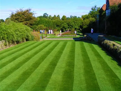 Professional landscape installation in Stafford, VA - A Cut Above Property Service
