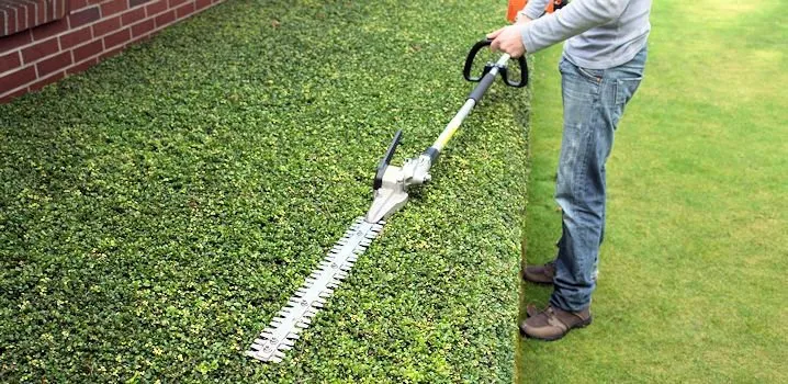 Professional landscape installation in Stafford, VA by A Cut Above Property Service