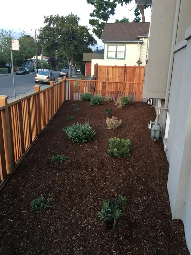 Trusted landscape design in Walnut Creek, CA by A Cut Above Services