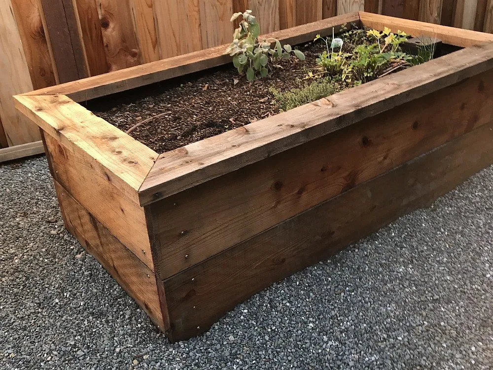 Expert lawn mowing service for beautiful yards across Walnut Creek, CA - A Cut Above Services