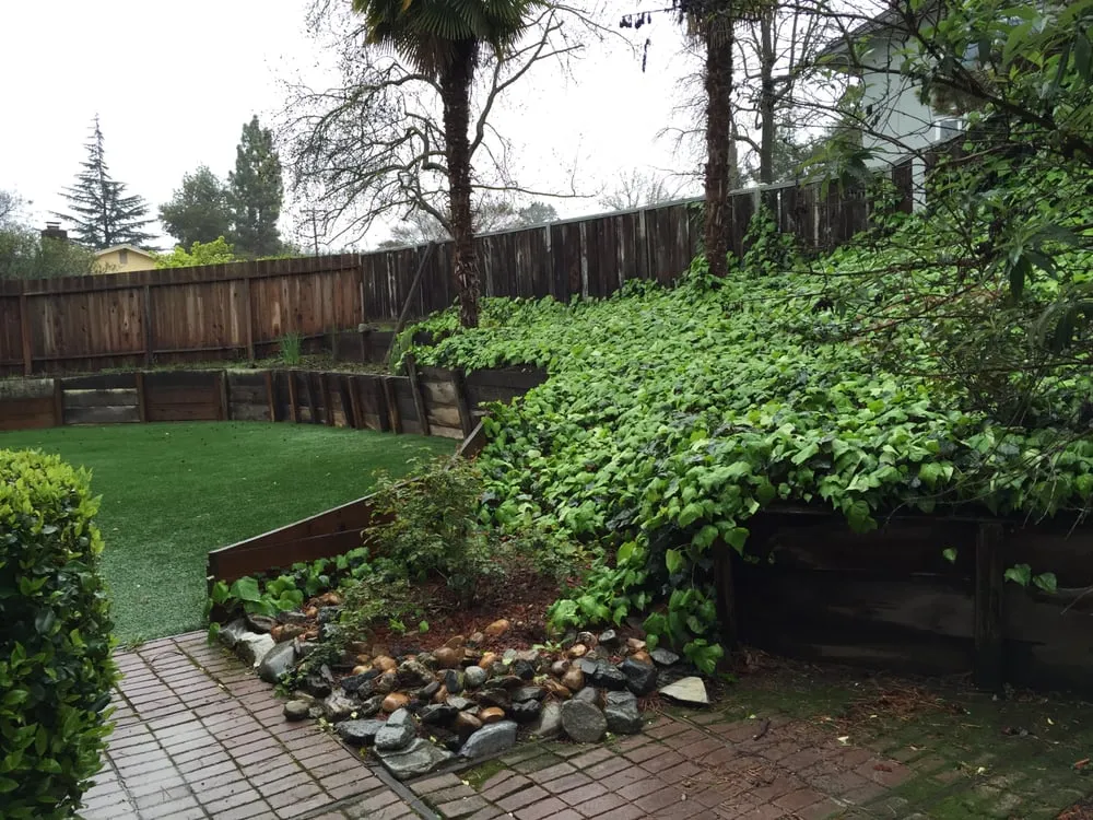 Custom lawn mowing service experts serving Walnut Creek, CA - A Cut Above Services