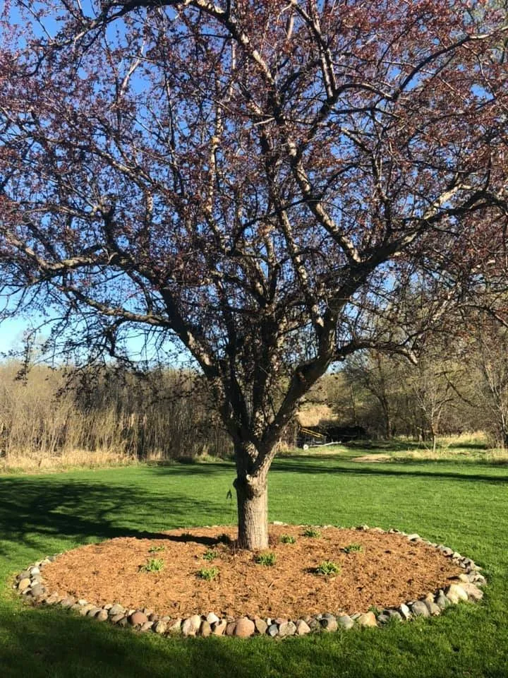 Trusted yard cleanup service in Shakopee, MN - A Cut Above