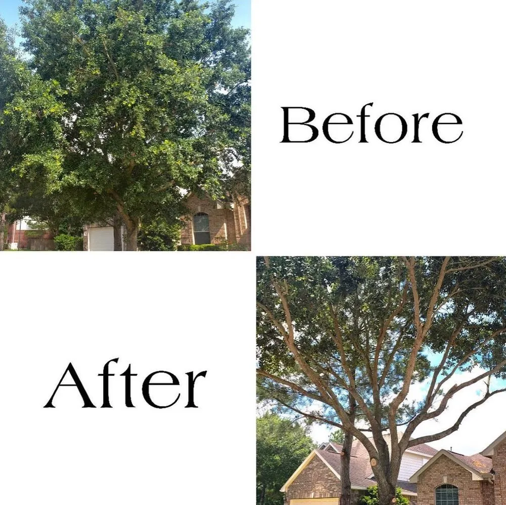 Affordable landscape installation experts serving Shakopee, MN - A Cut Above