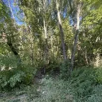 Affordable garden landscaping in Shakopee, MN - A Cut Above