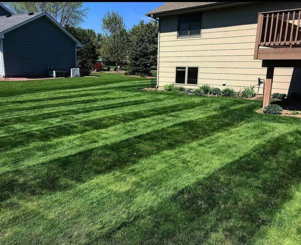 Top-rated yard cleanup service in Shakopee, MN - A Cut Above