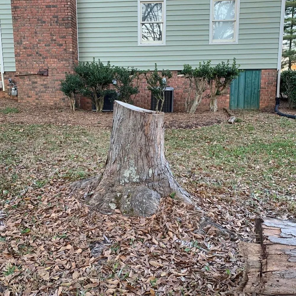 Affordable landscape installation experts serving Shakopee, MN - A Cut Above