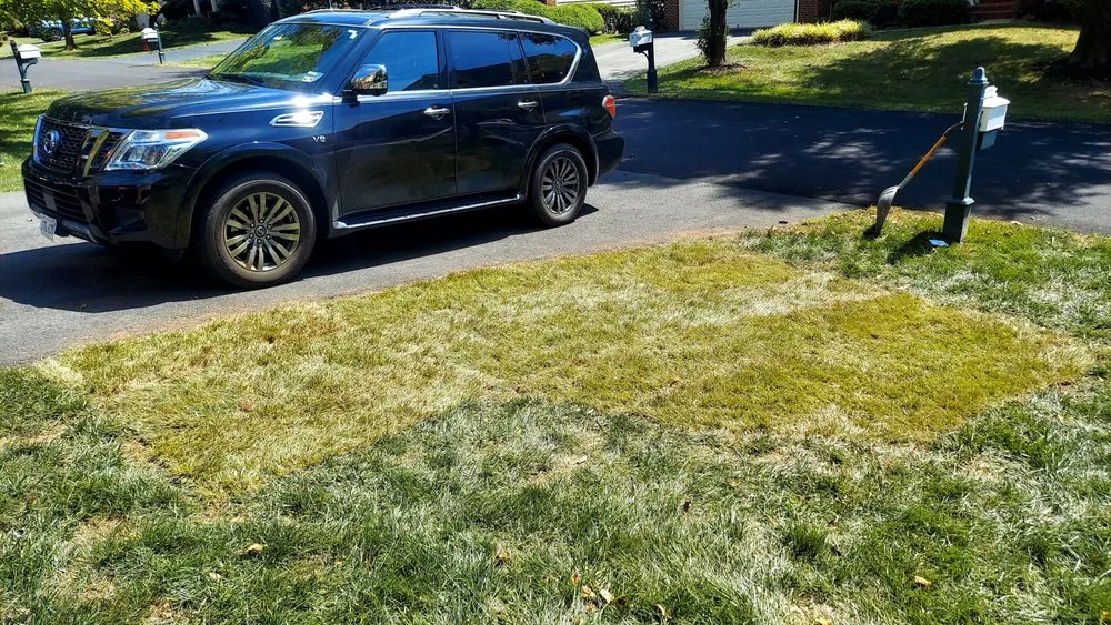 Local yard cleanup service with custom design in Sterling, VA by A Cut Above