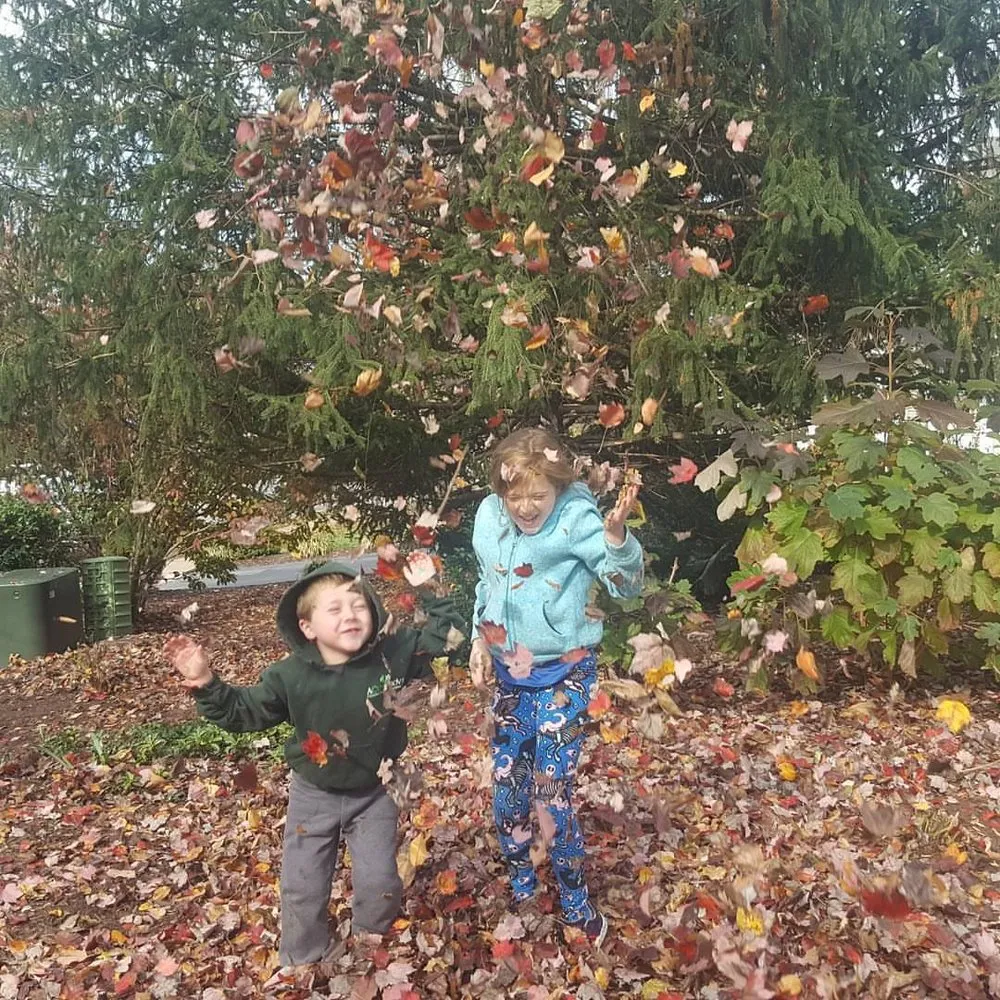 Reliable landscaping services in Sterling, VA by A Cut Above