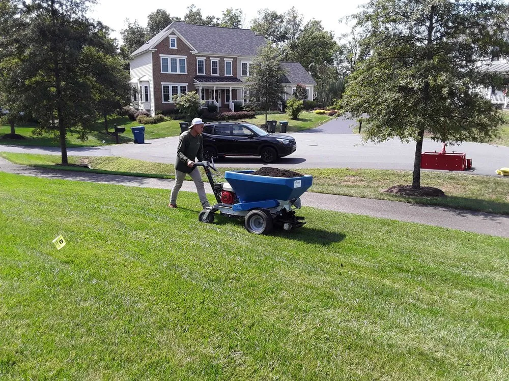 Expert yard cleanup service experts serving Sterling, VA - A Cut Above