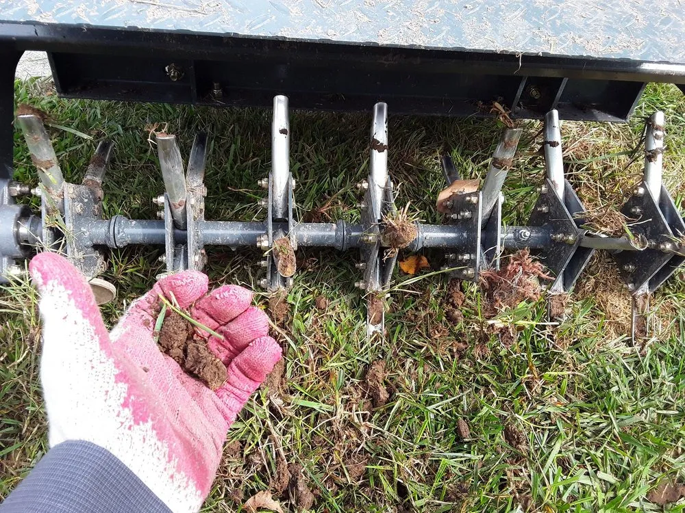 Reliable garden landscaping in Sterling, VA - A Cut Above