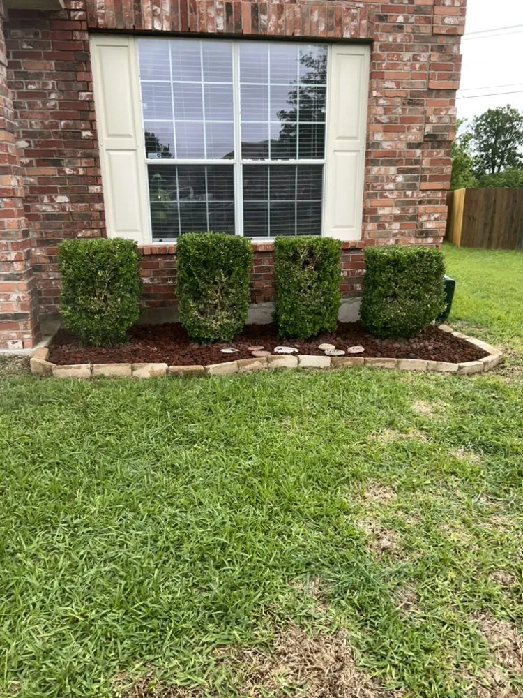 Professional outdoor landscaping in Temple, TX by A Cut Above