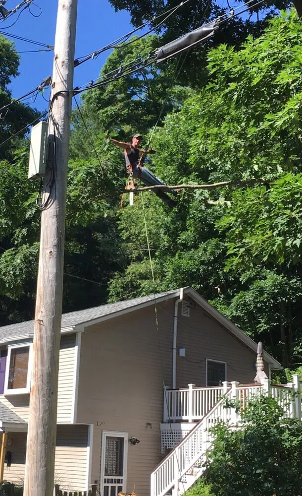 Reliable landscape design with custom design across Beverly, MA - A Cut Above the Best