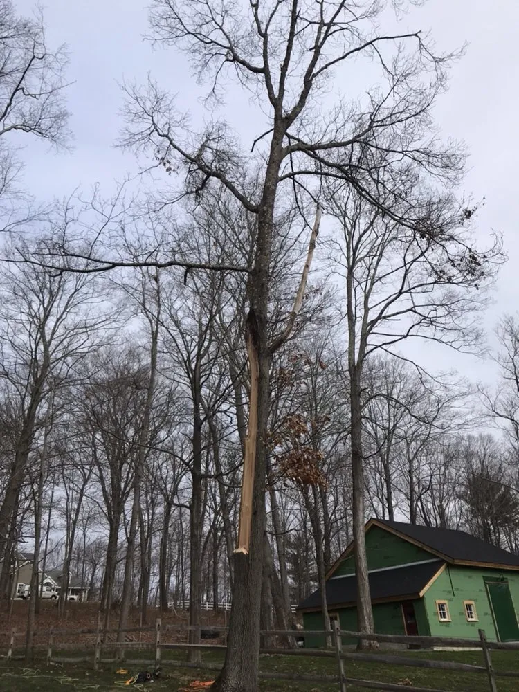 Professional garden landscaping in Beverly, MA by A Cut Above the Best