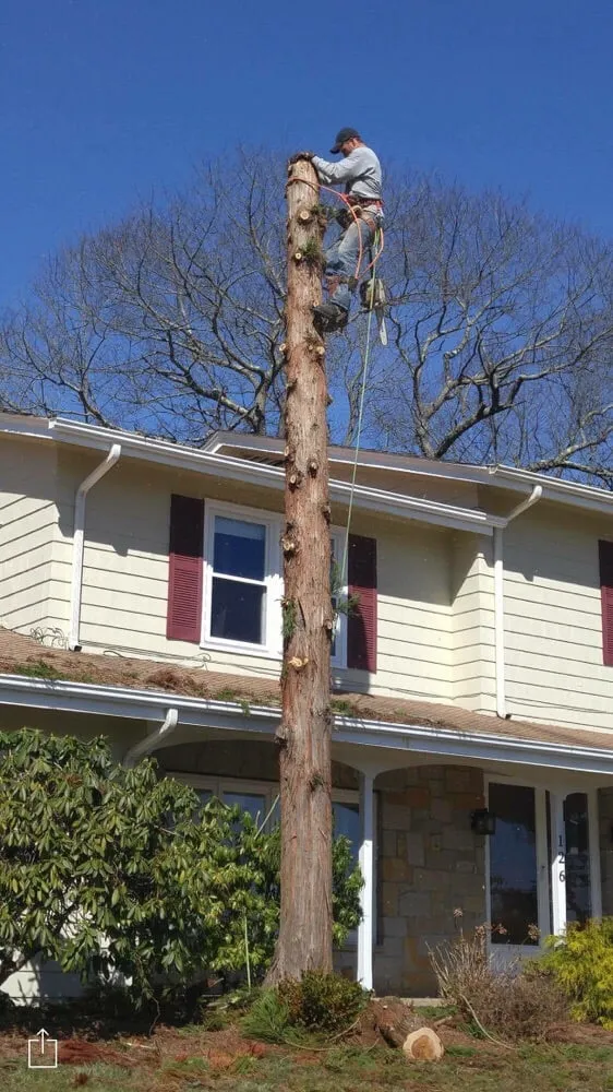 Reliable lawn care service in Beverly, MA by A Cut Above the Best