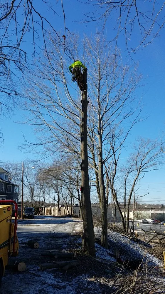 Affordable lawn mowing service in Beverly, MA by A Cut Above the Best