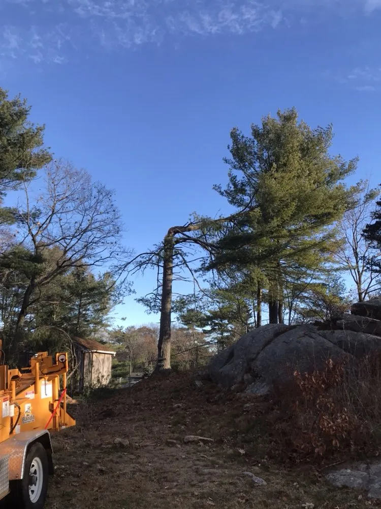 Expert landscape installation in Beverly, MA by A Cut Above the Best