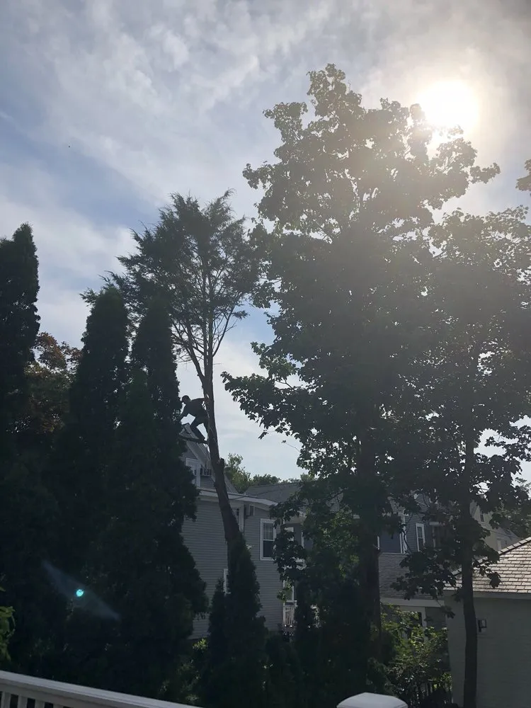 Affordable lawn mowing service for beautiful yards across Beverly, MA - A Cut Above the Best