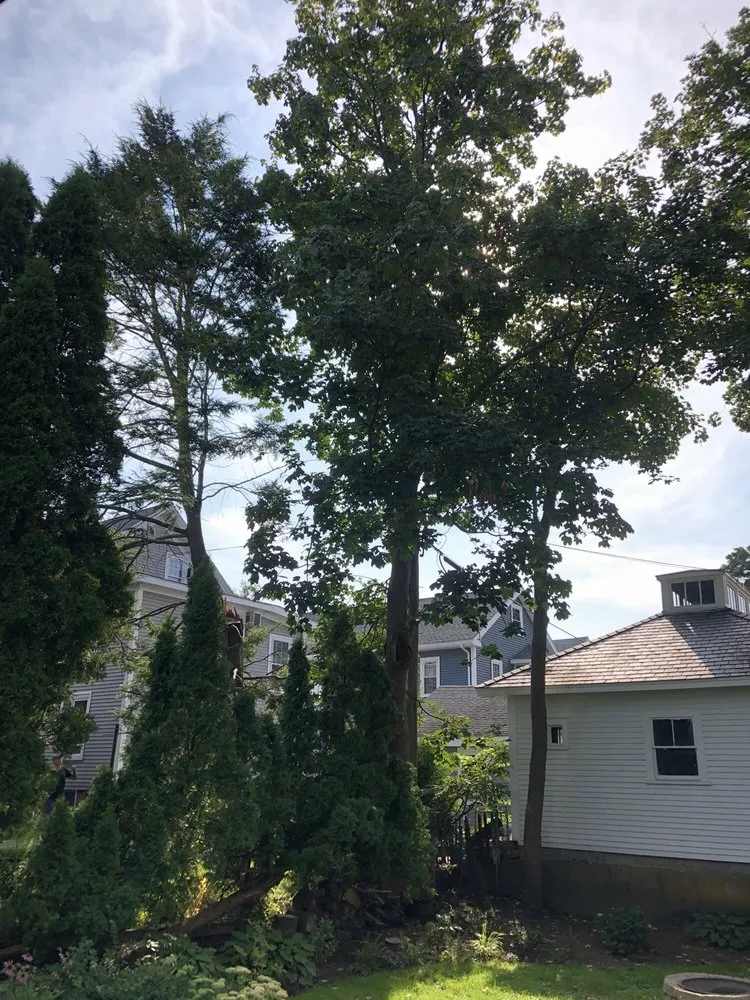 Reliable residential landscaping near you across Beverly, MA - A Cut Above the Best