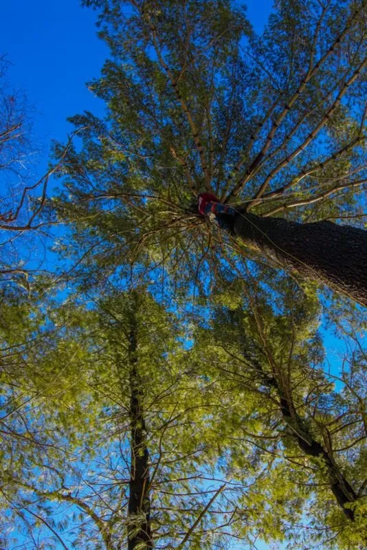 Top-rated lawn mowing service for outdoor upgrades in Beverly, MA by A Cut Above the Best