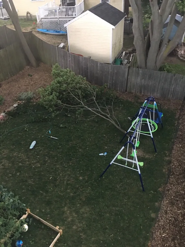 Expert yard cleanup service in Beverly, MA by A Cut Above the Best