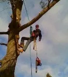 Affordable residential landscaping for residential properties in Beverly, MA by A Cut Above the Best