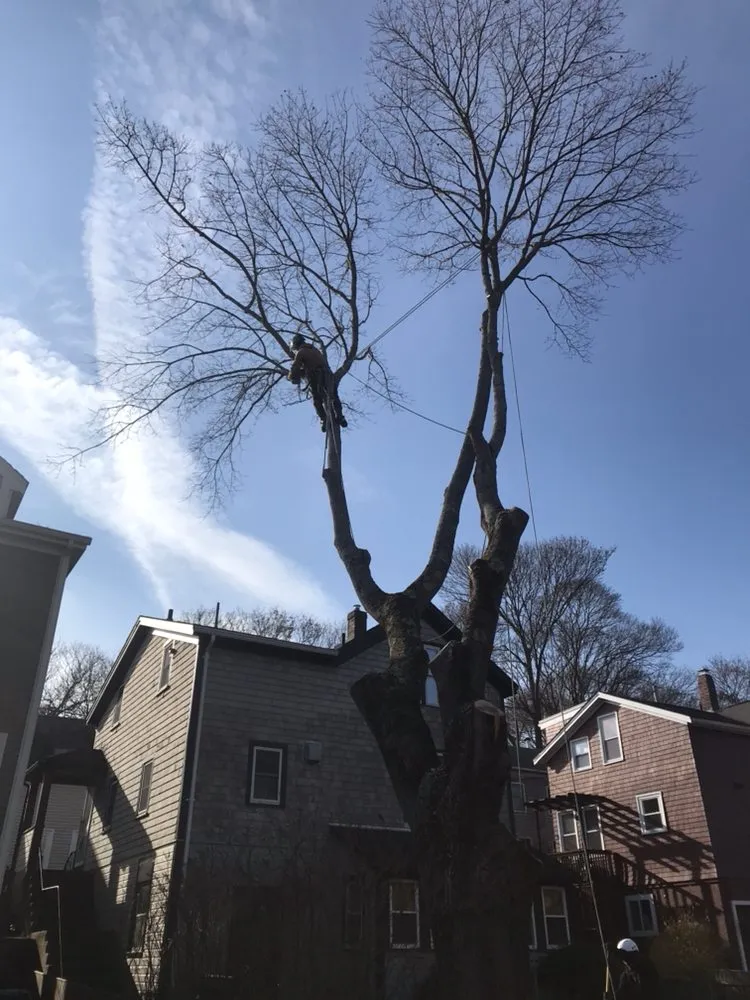 Local residential landscaping experts serving Beverly, MA - A Cut Above the Best