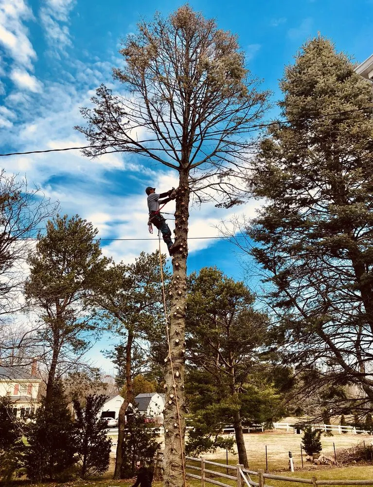 Local landscape design experts serving Beverly, MA - A Cut Above the Best