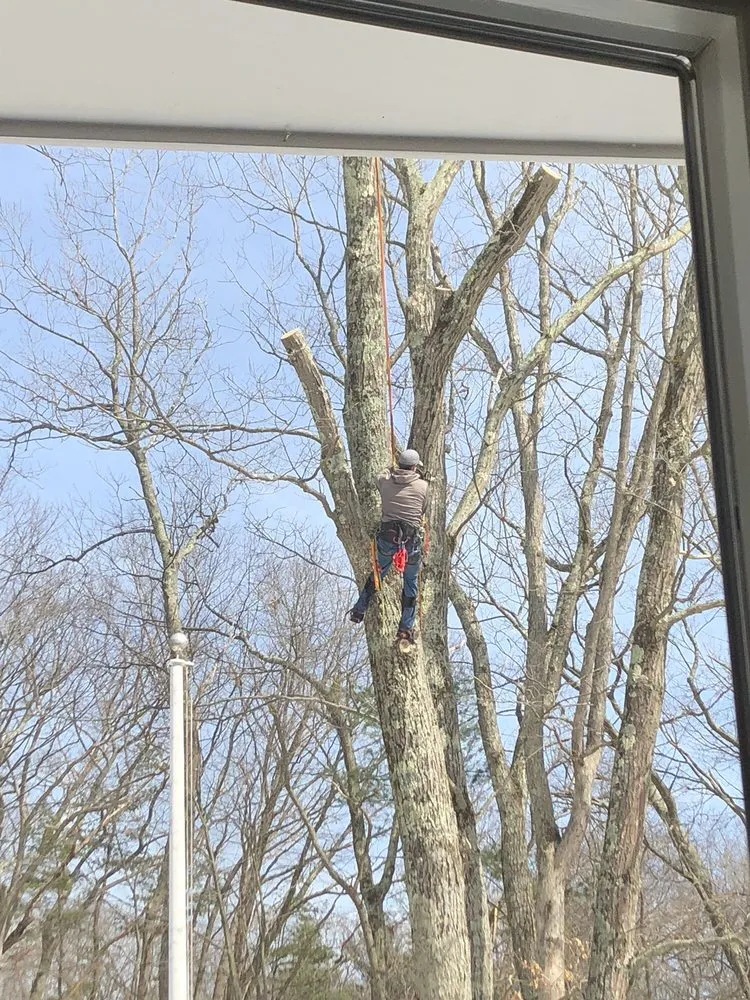 Trusted lawn mowing service near you across Beverly, MA - A Cut Above the Best