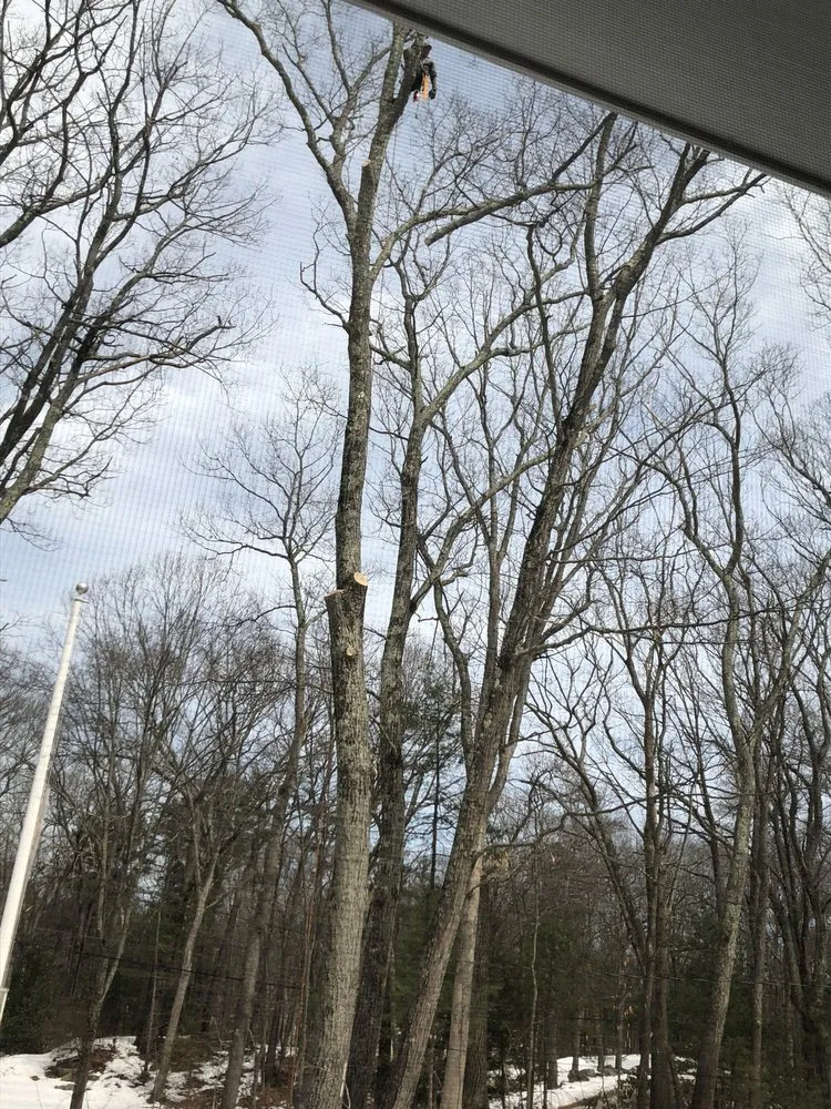 Affordable lawn mowing service in Beverly, MA - A Cut Above the Best